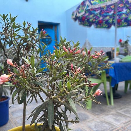 فيلا Casa Morisca سيدي إفني المظهر الخارجي الصورة