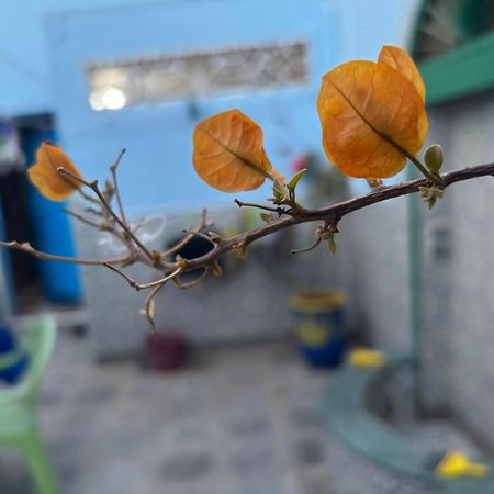 فيلا Casa Morisca سيدي إفني المظهر الخارجي الصورة