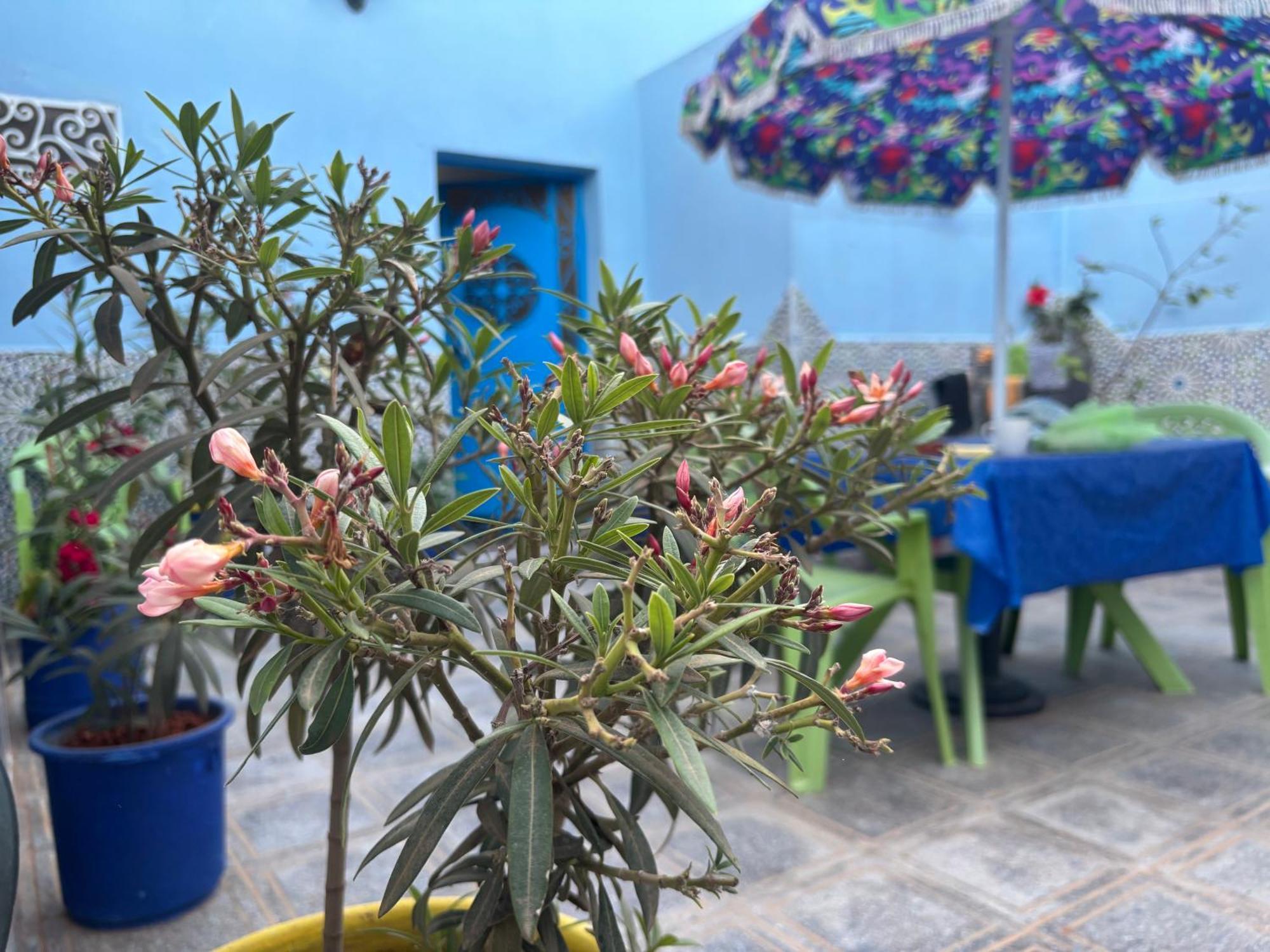 فيلا Casa Morisca سيدي إفني المظهر الخارجي الصورة
