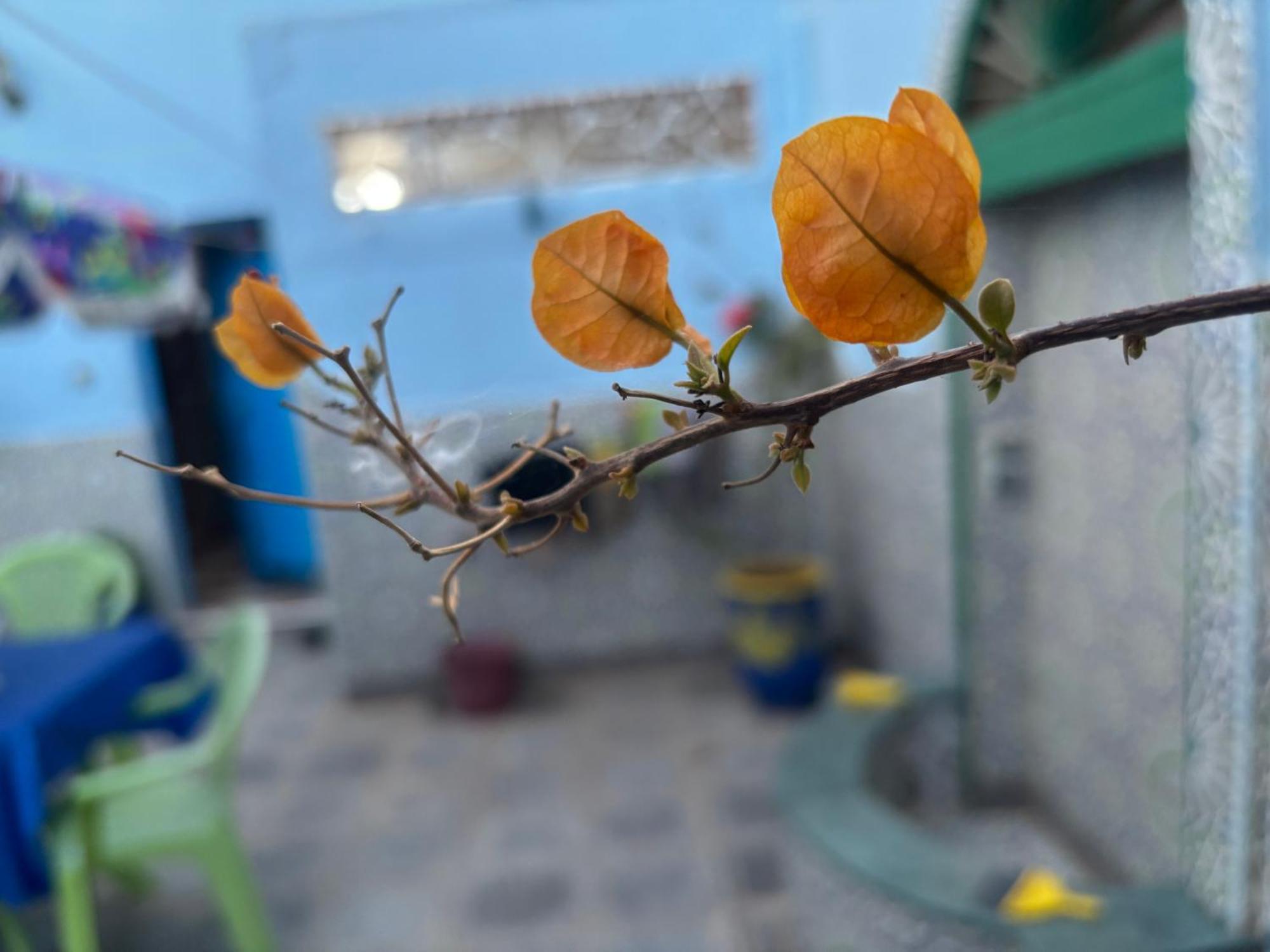 فيلا Casa Morisca سيدي إفني المظهر الخارجي الصورة